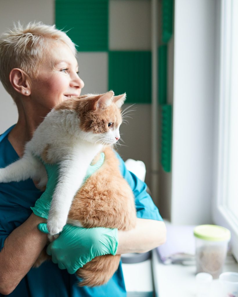happy-vet-doctor-with-cat.jpg